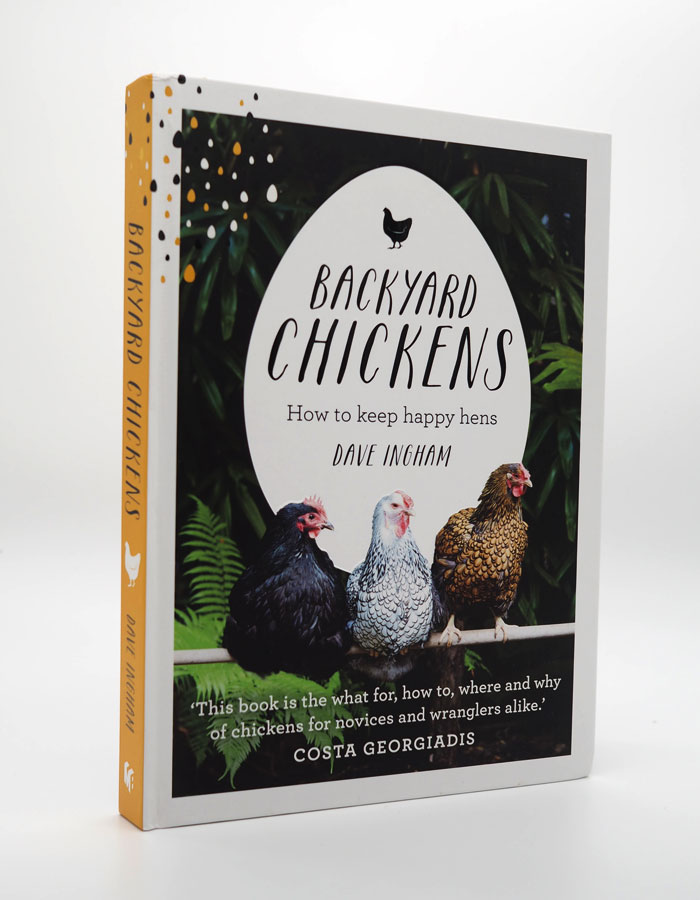 BackYardChickens01